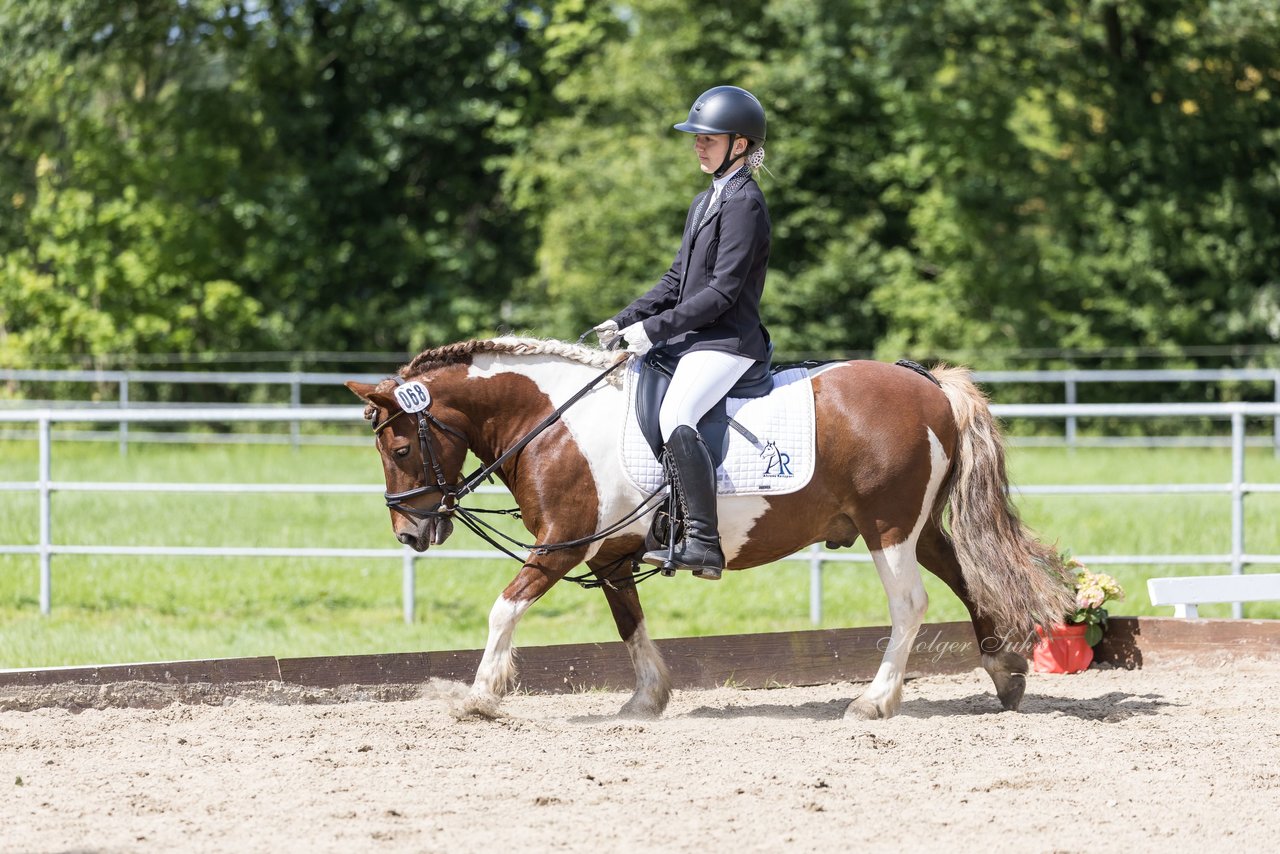 Bild 3 - Pony Akademie Turnier